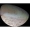 Triton The Largest Moon Of Planet Neptune Poster Print
